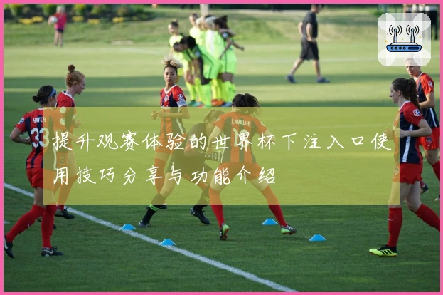 提升观赛体验的世界杯下注入口使用技巧分享与功能介绍