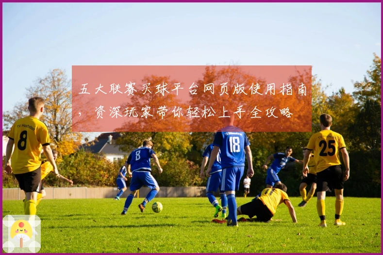 五大联赛买球平台网页版使用指南，资深玩家带你轻松上手全攻略