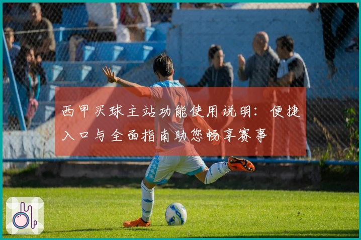 西甲买球主站功能使用说明：便捷入口与全面指南助您畅享赛事