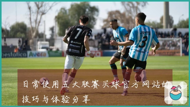 日常使用五大联赛买球官方网站的技巧与体验分享