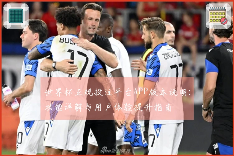 世界杯正规投注平台APP版本说明:功能详解与用户体验提升指南
