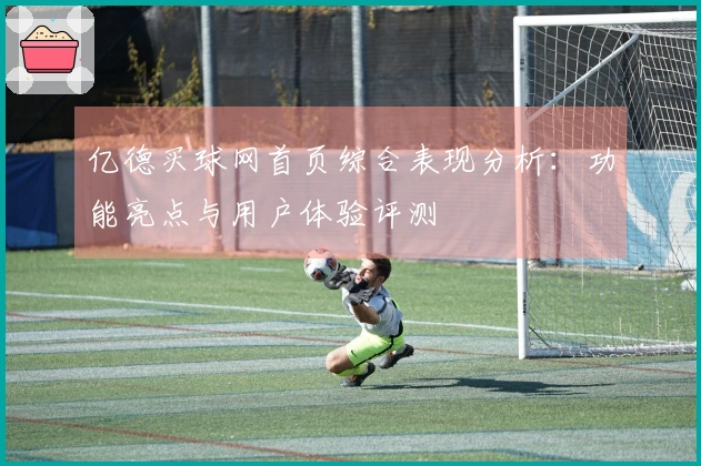 亿德买球网首页综合表现分析：功能亮点与用户体验评测