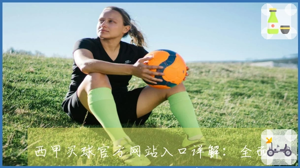 西甲买球官方网站入口详解：全面指南助您轻松畅享精彩赛事体验