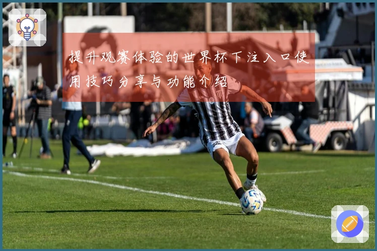 提升观赛体验的世界杯下注入口使用技巧分享与功能介绍